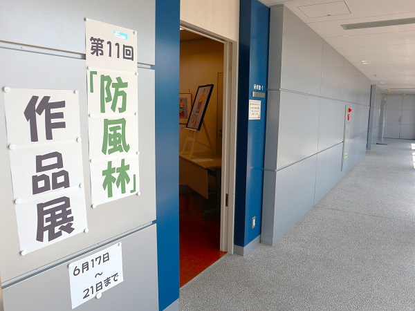 防風林展示会写真１