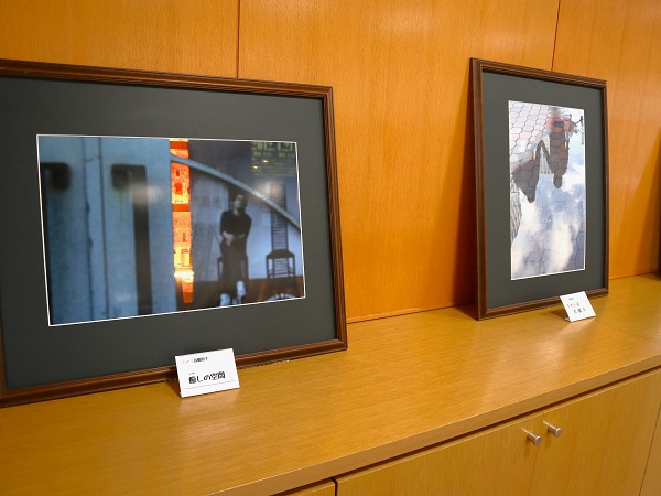 防風林展示会写真２