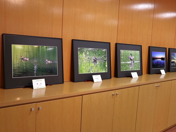 トリムフォトクラブ写真展３