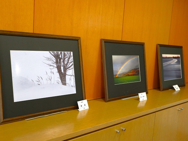 防風林展示会写真３