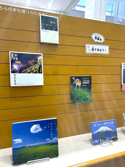 11月本館特集「写真」４