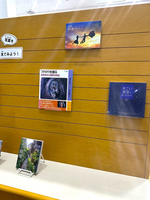 11月本館特集「写真」５