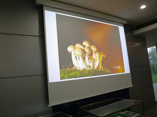 トリムフォトクラブ写真展６