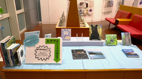 12月本館特集「北海道に生きる動物たち」写真２