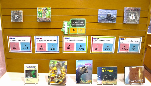 12月本館特集「北海道に生きる動物たち」写真４