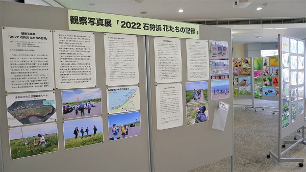 2022石狩浜花たちの記録展示写真１