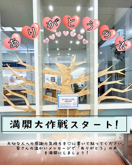 20260301本館特集写真４