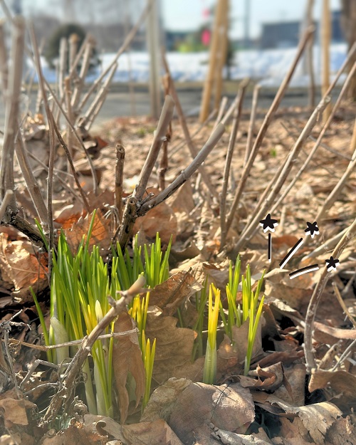 今日は春分の日♪２