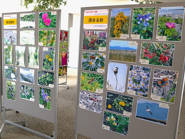 「2023石狩浜花たちの記録」展示写真３